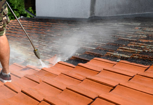 Best Affordable Power Washing  in Lindsay, TX