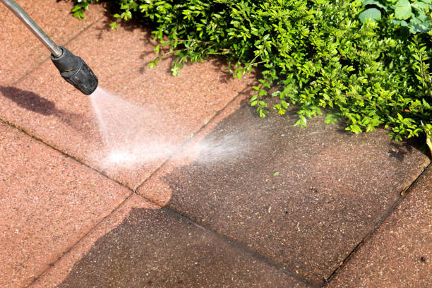 Best Pressure Washing Company Near Me  in Lindsay, TX